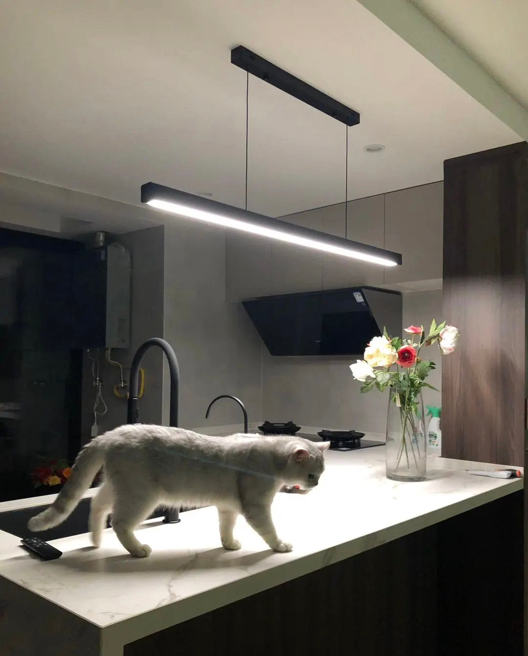 Juliette Suspension Linéaire Minimaliste