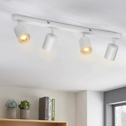 Fleur Adjustable Multi-Head Track Spotlight