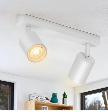 Fleur Adjustable Multi-Head Track Spotlight