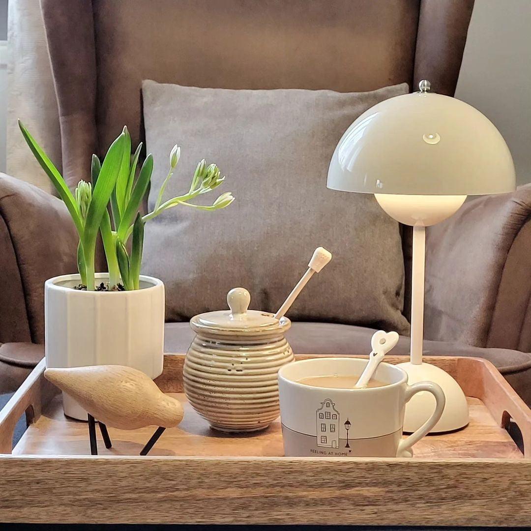 Élodie Rechargeable LED Desk Lamp with Double Sphere Design