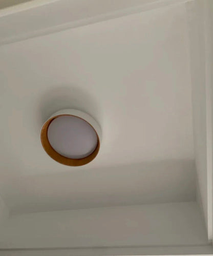 Camille Modern Minimalist Atmosphere Light