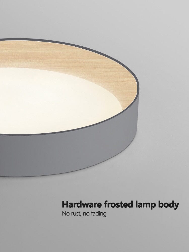 Camille Modern Minimalist Atmosphere Light