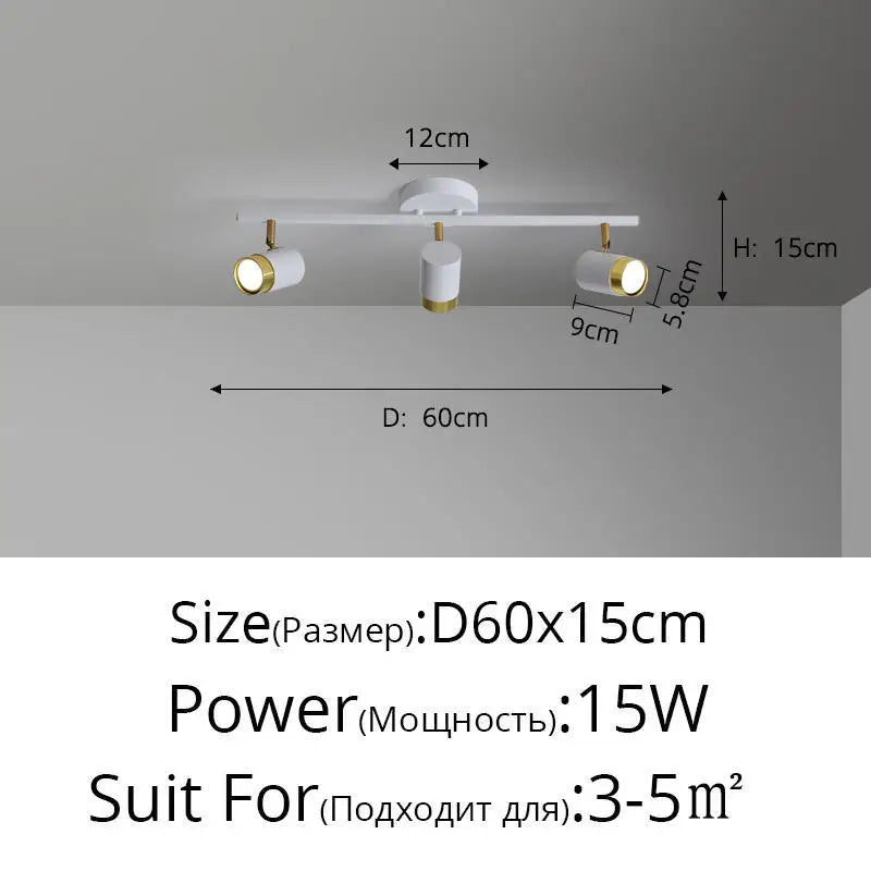 Plafonnier Projecteur LED Élise Noir & Blanc Moderne