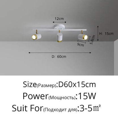 Plafonnier Projecteur LED Élise Noir & Blanc Moderne