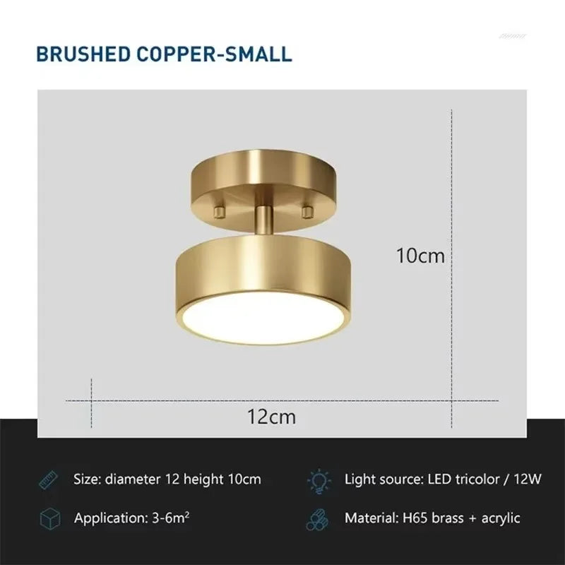 Aveline Brass LED Flush Mount Ceiling Light