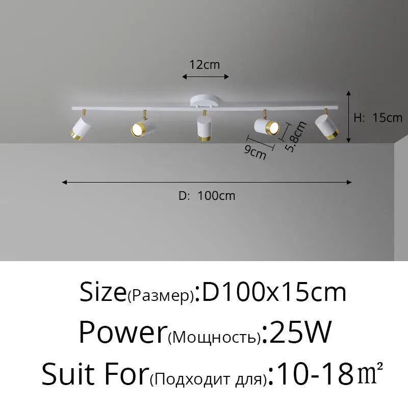 Plafonnier Projecteur LED Élise Noir & Blanc Moderne
