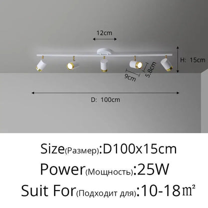 Plafonnier Projecteur LED Élise Noir & Blanc Moderne