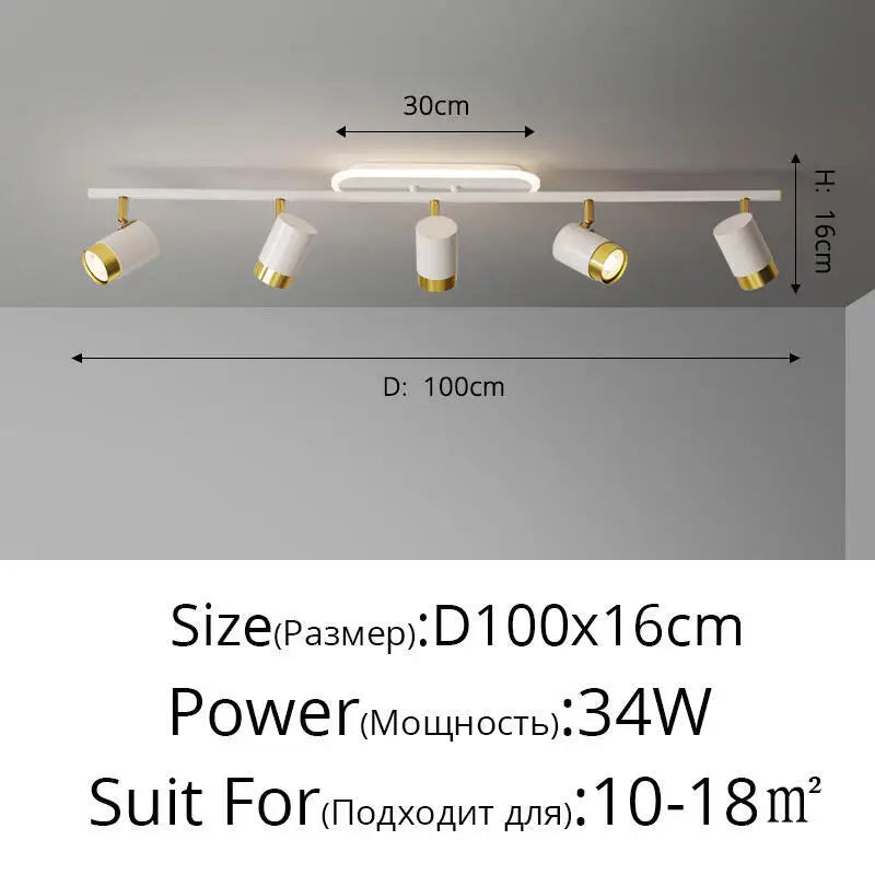 Plafonnier Projecteur LED Élise Noir & Blanc Moderne