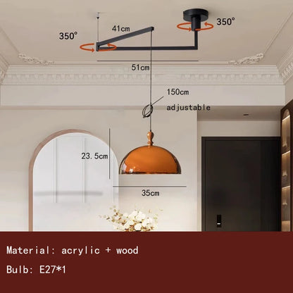 Camille Brown Acrylic Wood Pendant Light