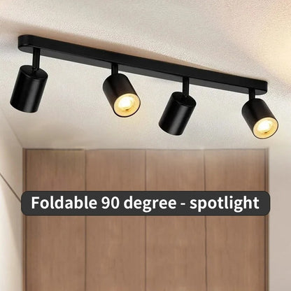 Fleur Adjustable Multi-Head Track Spotlight