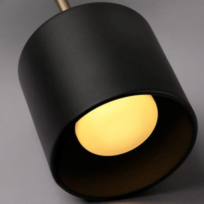 Auriane Acrylic Hanging Wall Light with Black Gold Finish